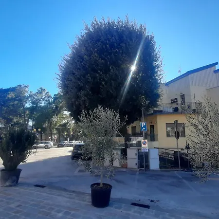 Bed & Breakfast Quivago *